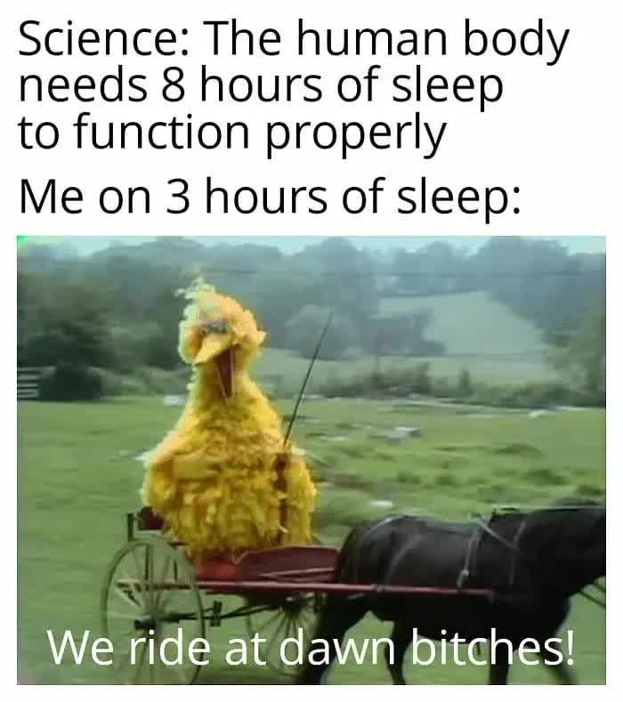 Science: The human body needs 8 hours of sleep to function properly Me on 3 hours of sleep: We ride at dawn bitches! 