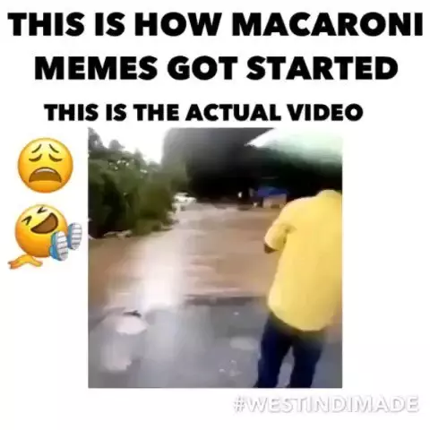 THIS IS HOW MACARONI MEMES GOT STARTED THIS IS THE ACTUAL VIDEO #WESTINDIMADE 